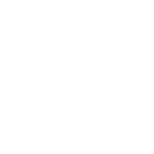 Reset