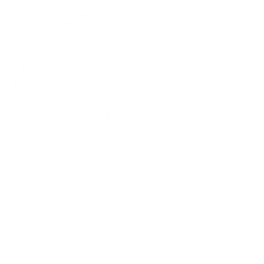DodoFood Logo